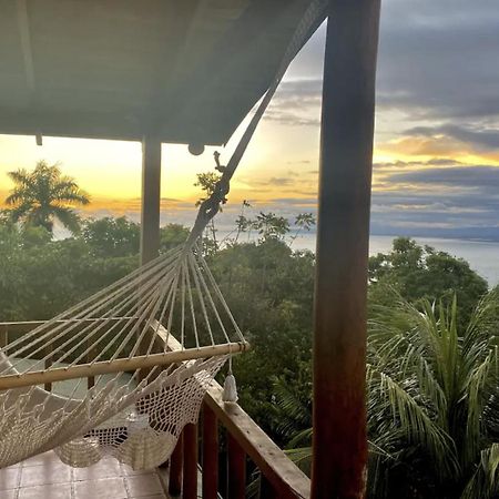 Mizaru Ocean View Hotel Manuel Antonio Кепос Екстер'єр фото