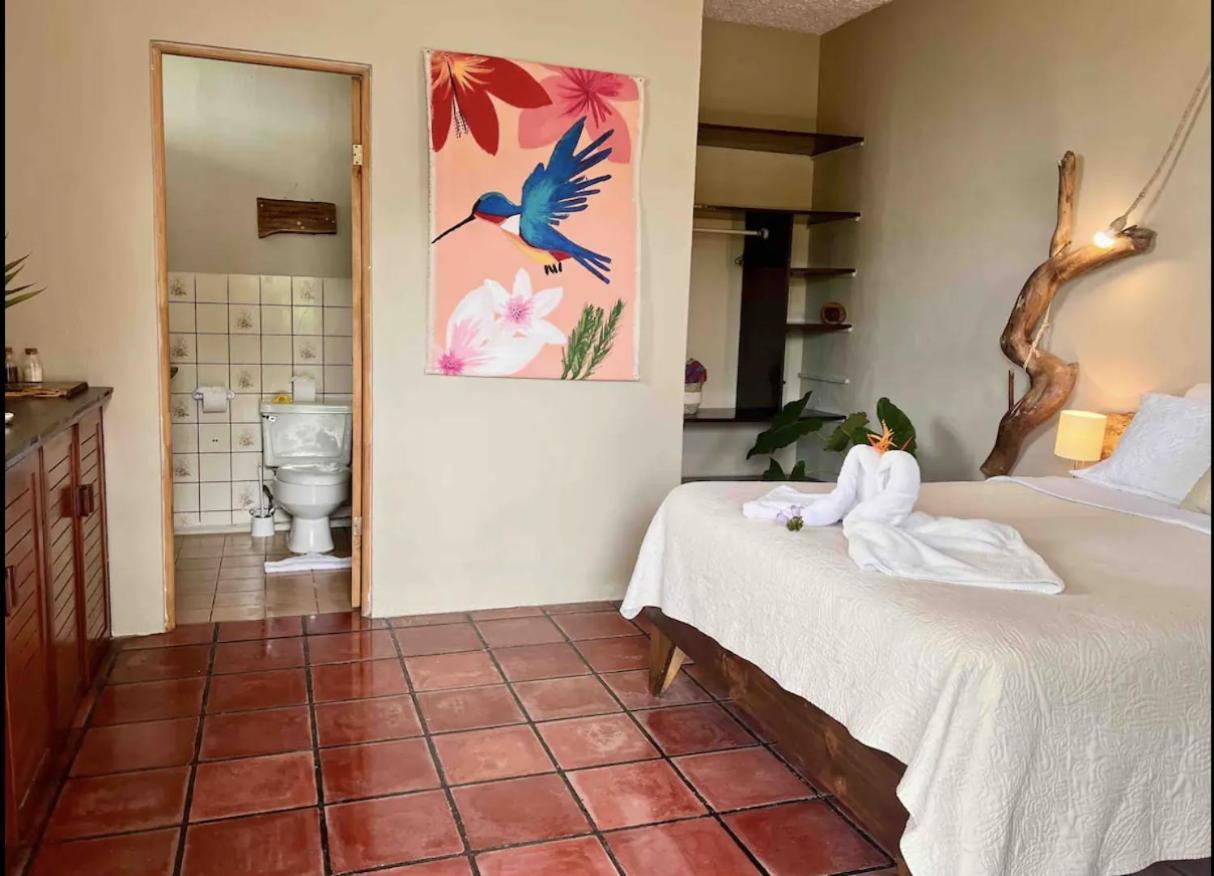 Mizaru Ocean View Hotel Manuel Antonio Кепос Екстер'єр фото