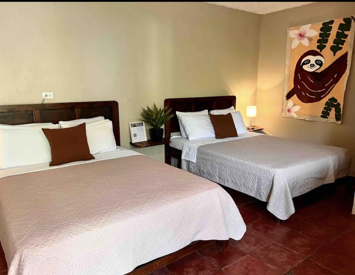 Mizaru Ocean View Hotel Manuel Antonio Кепос Екстер'єр фото