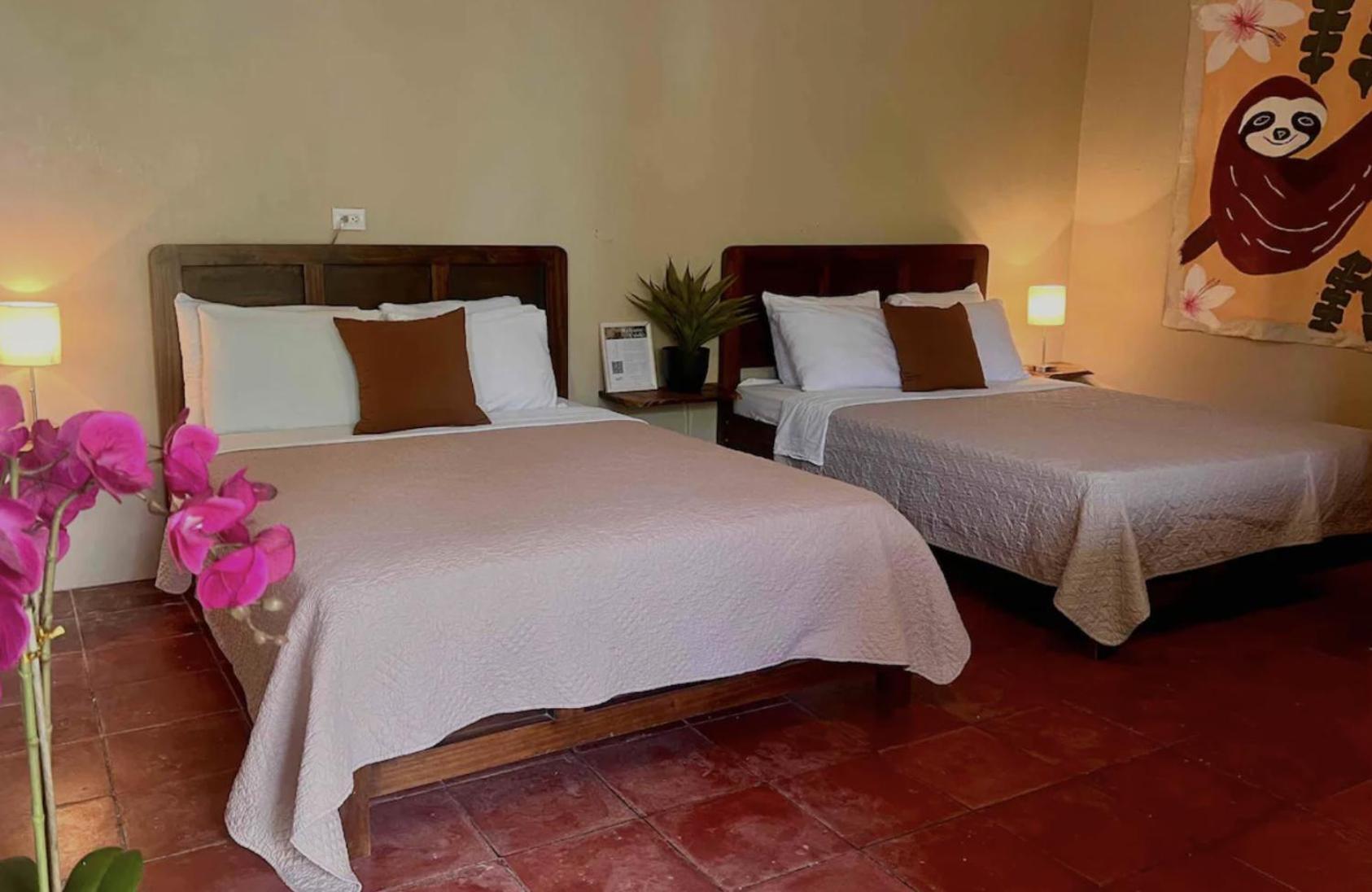 Mizaru Ocean View Hotel Manuel Antonio Кепос Екстер'єр фото