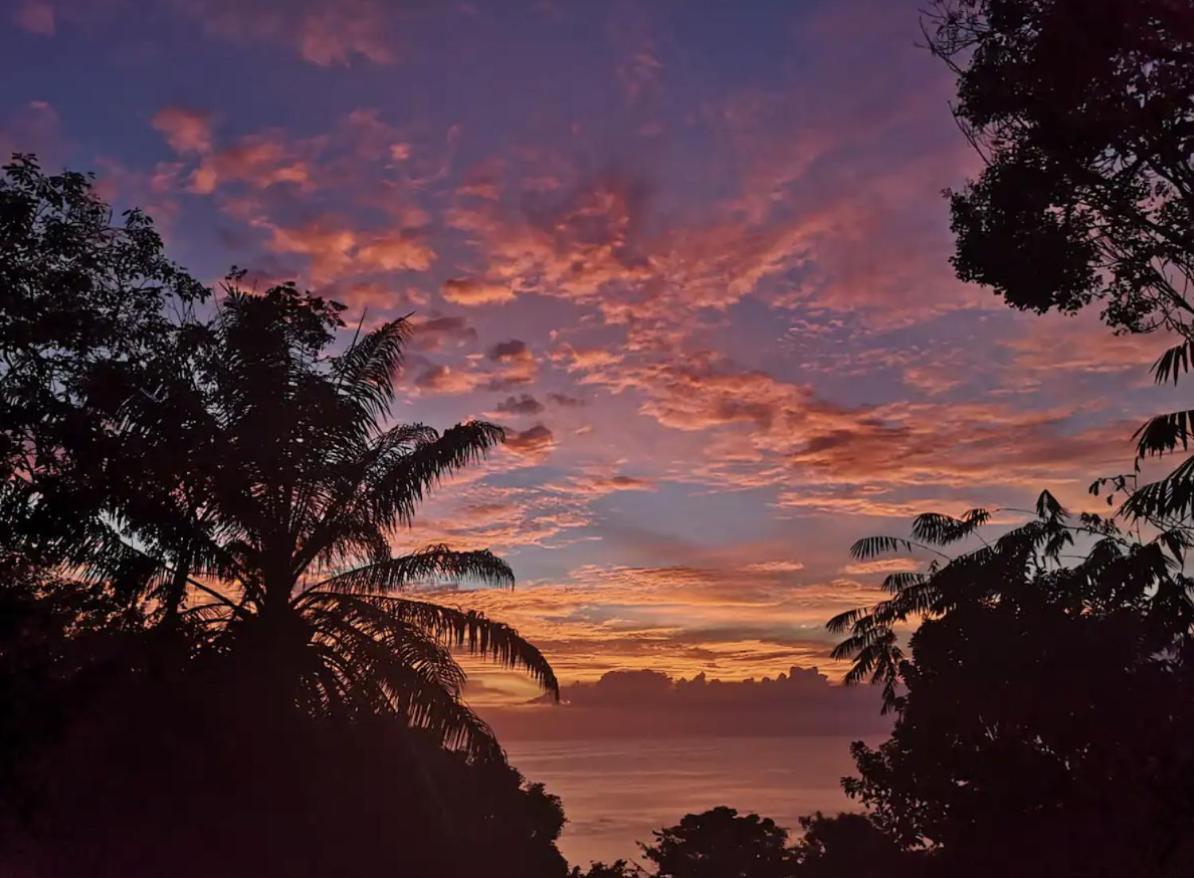 Mizaru Ocean View Hotel Manuel Antonio Кепос Екстер'єр фото